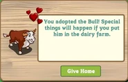 Happy Bull