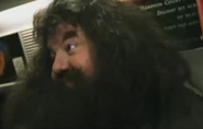 Deleted Scene Hagrid2