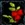 Red Fruit
