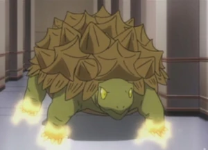 SkyTurtle1