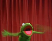 Robin-yaaaaay