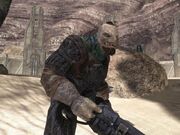 800px-Brute Halo 3