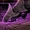 Peristalis SC2 Game1