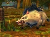 Stonetusk Boar