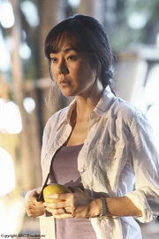 6x10 Sun