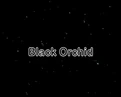 Tcorchid