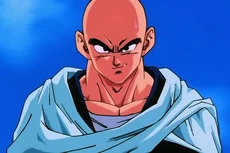Tenshinhan14