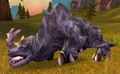Kodo Bull.jpg
