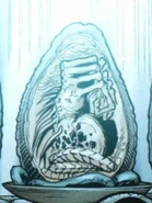 AVP-Comic Queen Facehugger