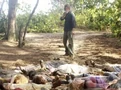 Portal-AjiraMassacre