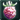 Rubus