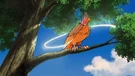P09 Fearow