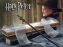 Minerva McGonagall