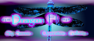 Dragonfli Banner