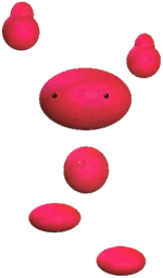 Sukapon2