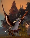 Thunderhead Consort