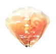 Crystarium Crystal Vanille