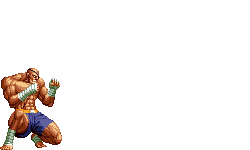 Sagat-sc-tiger2