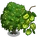 Arjuna Tree-icon