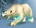 Bjarn.jpg