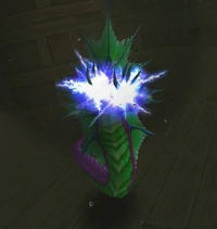 Daggerspine Sorceress