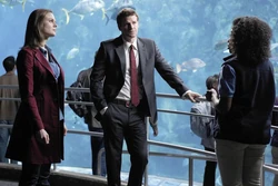 5x18 2