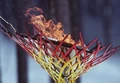 Nagano cauldron