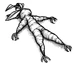 MRoot
