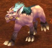 Frenzied Plaguehound