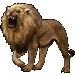 Item lion 01
