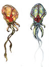 HunterMetroid