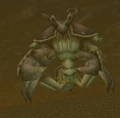 Muckshell Scrabbler.jpg
