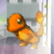 Charmander SSB