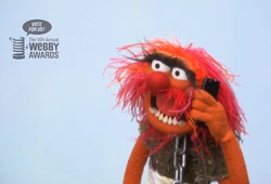 Animal-Webby-2010