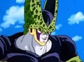 Cell23