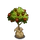 Apple Sapling-icon