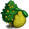 Image:Jackfruit Tree-icon.png