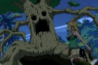 Wood
