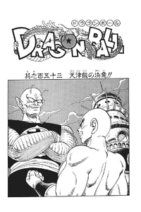 Tenshinhan's Resolve