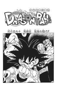 Goku's Final Gamble