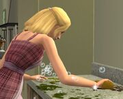 Cleaning