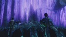 Grace(g).TreeOfSouls.screencap
