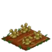 Nopales withered