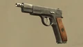 Automatic9mm-TLAD