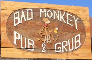 BadMonkey.jpg