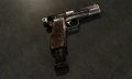 9mmPistolExtendedMag.jpg