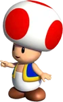 Toad NSMBDIY