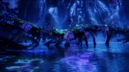 Biolumineszenz