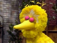 3618d