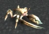 Young Reef Crawler